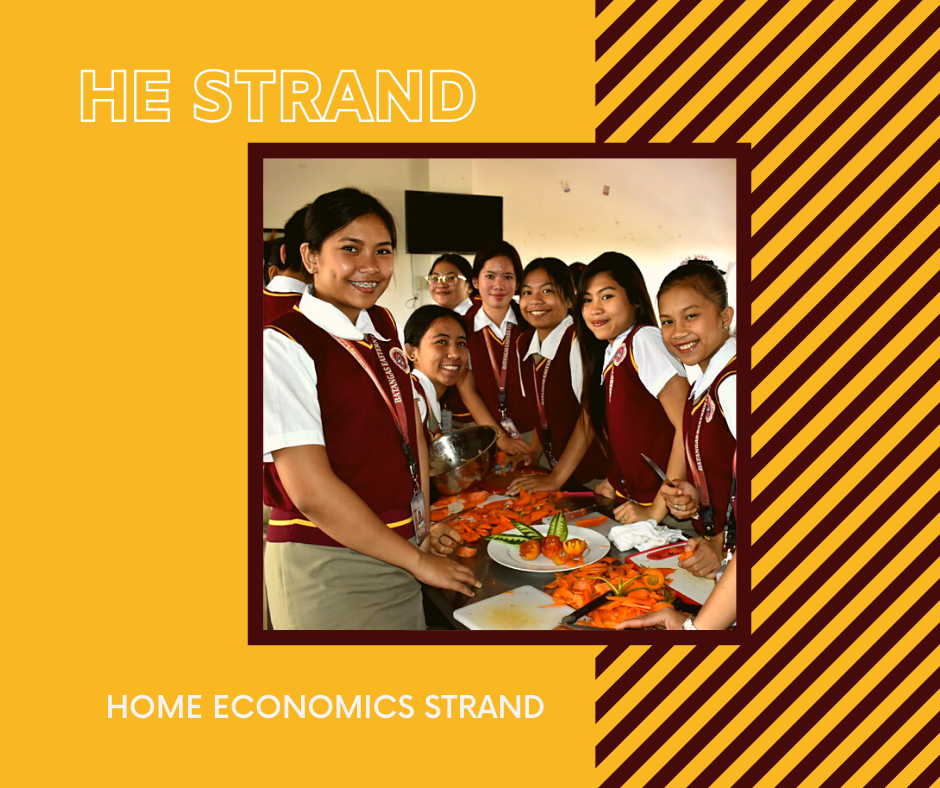 essay about home economics strand